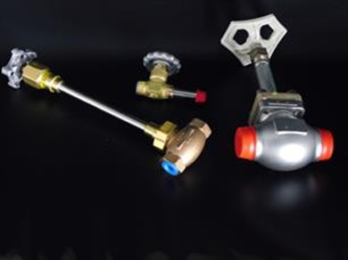 Globe Valve