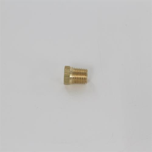 1/4" Plug