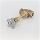 Valve Globe Brass