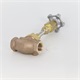 Valve Globe Brass