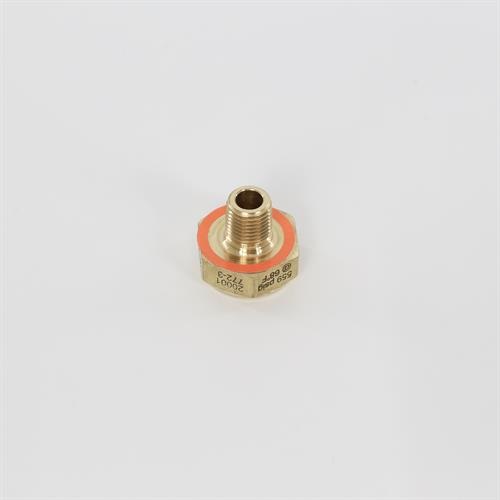 Rupture Disc Assy 584psi