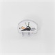 Liquid Level Gauge