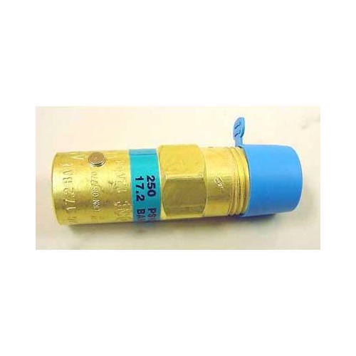Relief Valve REGO