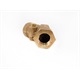 Check Valve