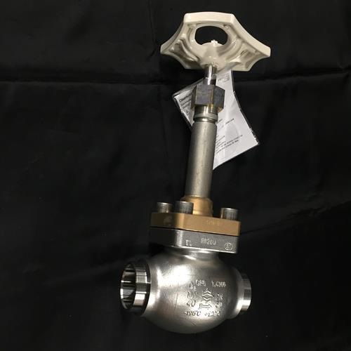 VALVE GLOBE SS