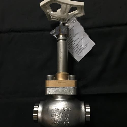 VALVE GLOBE SS