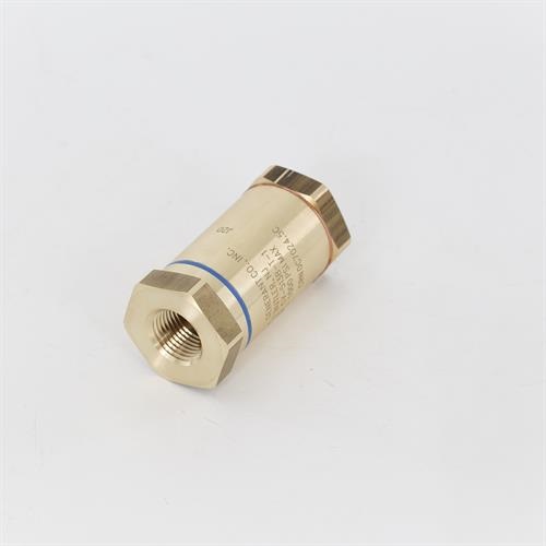 1/2" Check Valve