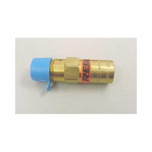 Relief Valve REGO