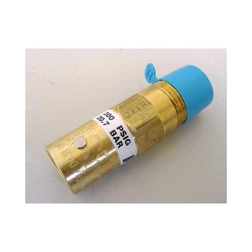 Relief Valve REGO