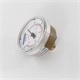 Pressure Gauge