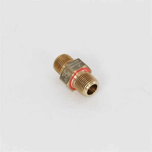 Rupture Disc Assy 700psi
