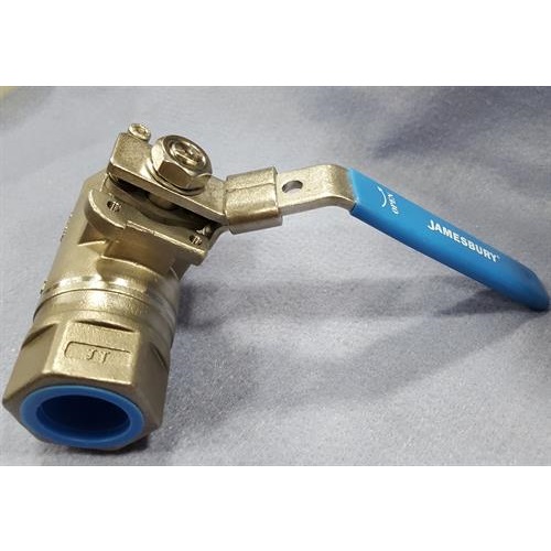 VALVE BALL SS 1FPT CO2 ONLY