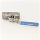 VALVE BALL SS 1FPT CO2 ONLY
