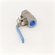 VALVE BALL SS 1FPT CO2 ONLY