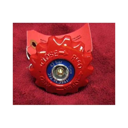 REGO Valve Rebuild Ki