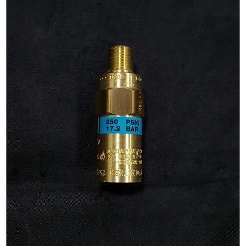 Relief Valve REGO