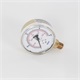 2-1/2" Pressure Gauge