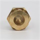 Rupture Disc Assy 263 psi