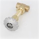 Valve Globe Brass