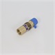 Relief Valve REGO