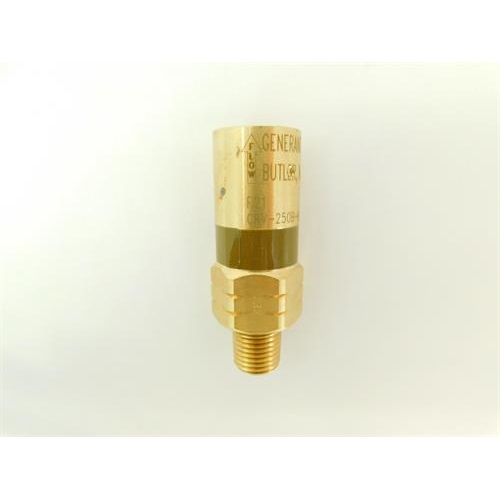 RV BRS 1/4MPT 675PSI