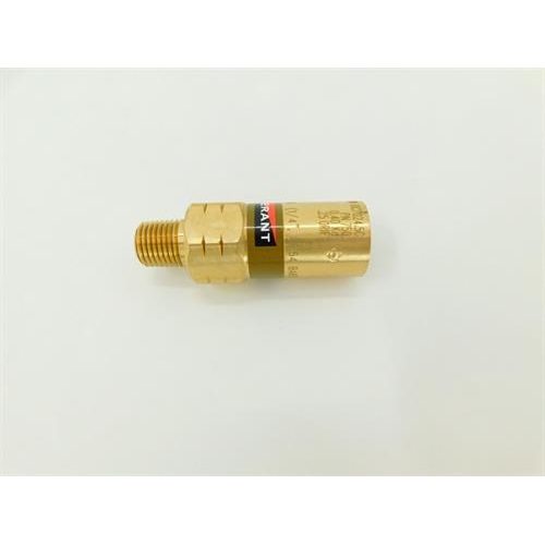 RV BRS 1/4MPT 675PSI