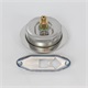 Pressure Gauge