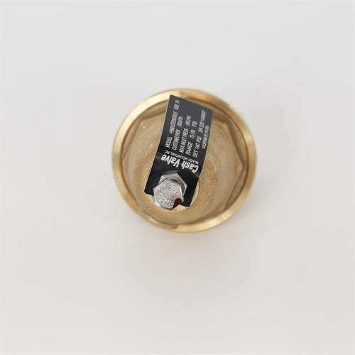 REGULATOR .250NPT @ 140PSI