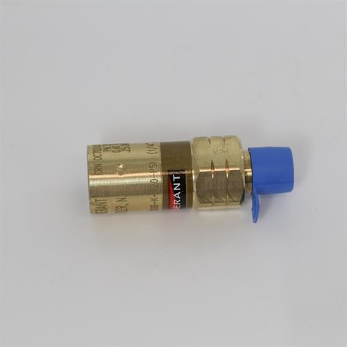 RV BRS 1/4MPT 720 PSIG